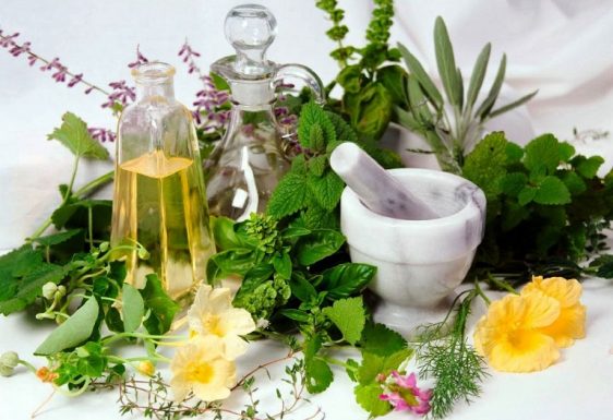 Bỏ túi các bài thuốc dân gian chữa viêm da cơ địa dễ thực hiện