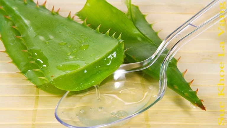 Mucus from aloe leaves has many medicinal uses