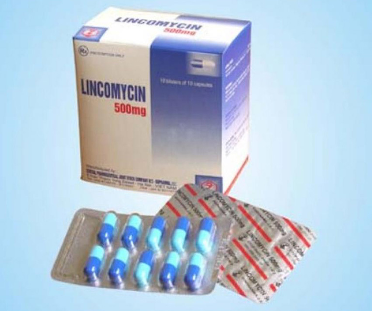 Thuốc Lincomycin điều trị các trường hợp bị nhiễm khuẩn nặng 