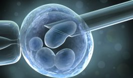 Thụ tinh trong ống nghiệm là phương pháp thụ tinh nhân tạo giúp tăng cơ hội có thai, có con.