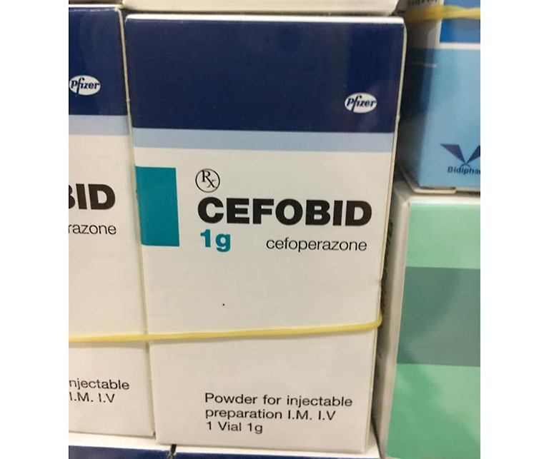 Thuốc Cefobid và những thông tin cần biết 