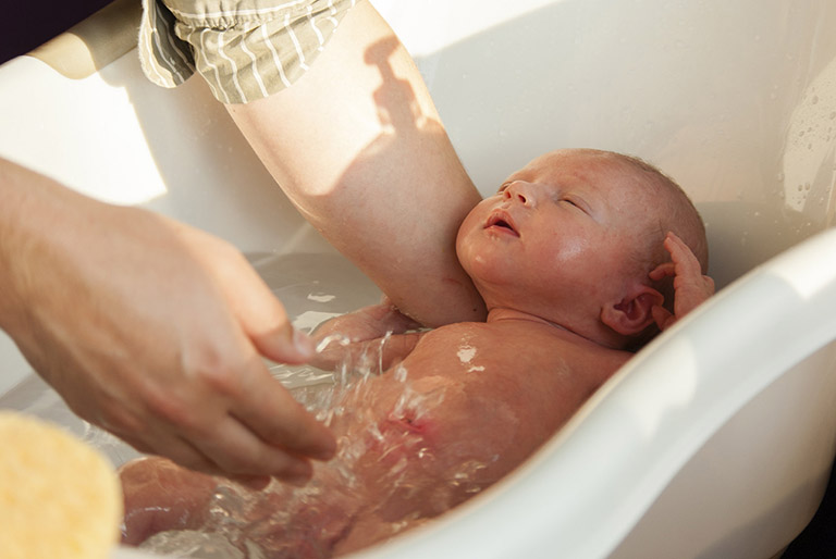 Nên tắm lá đinh lăng cho trẻ sơ sinh như thế nào cho đúng cách? 