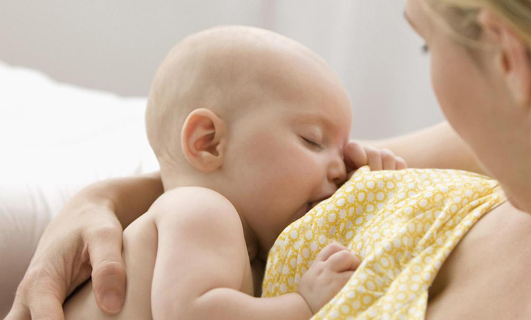 Uống nước lá đinh lăng chữa mất sữa, lợi sữa cho phụ nữ mới sinh