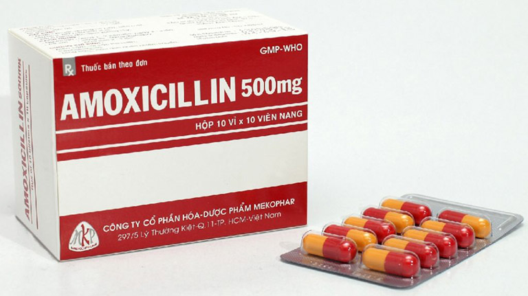 Amoxicillin là một trong những loại thuốc kháng sinh thường được dùng để điều trị vi khuẩn Hp 