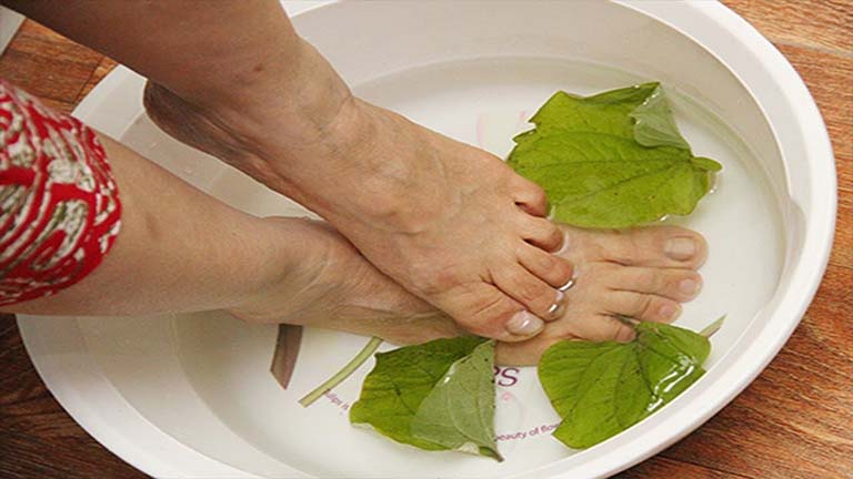 Ngâm chân bằng nước lá lốt có tác dụng làm giảm cơn đau nhức xương khớp nhanh chóng