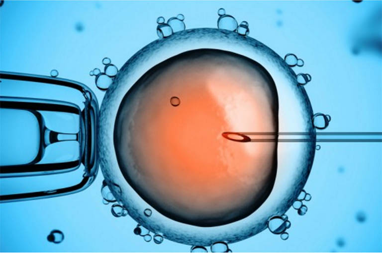 Tiêm tinh trùng vào bào tương trứng - Kỹ thuật ICSI