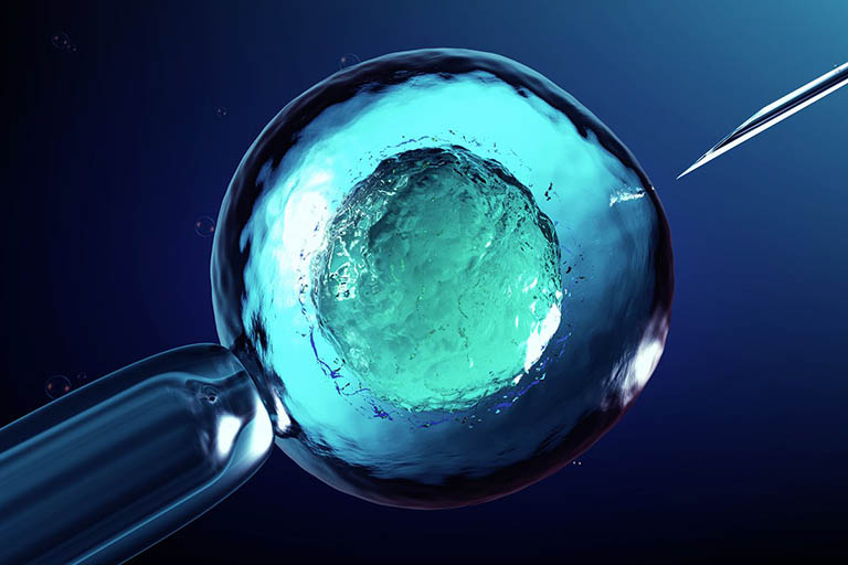 Thụ tinh ống nghiệm (In vitro fertilization – IVF)