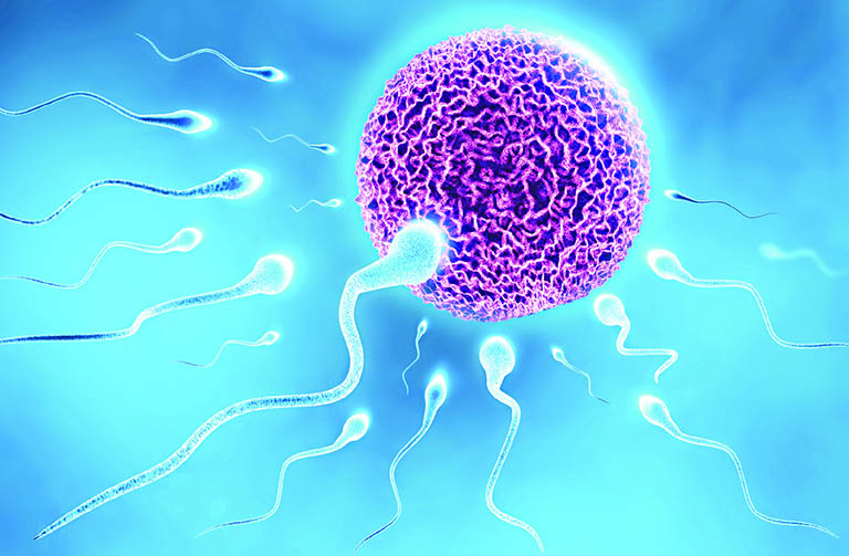 Nam giới có tinh trùng yếu vẫn có thể thụ thai tự nhiên nhưng tỉ lệ thụ thai thấp
