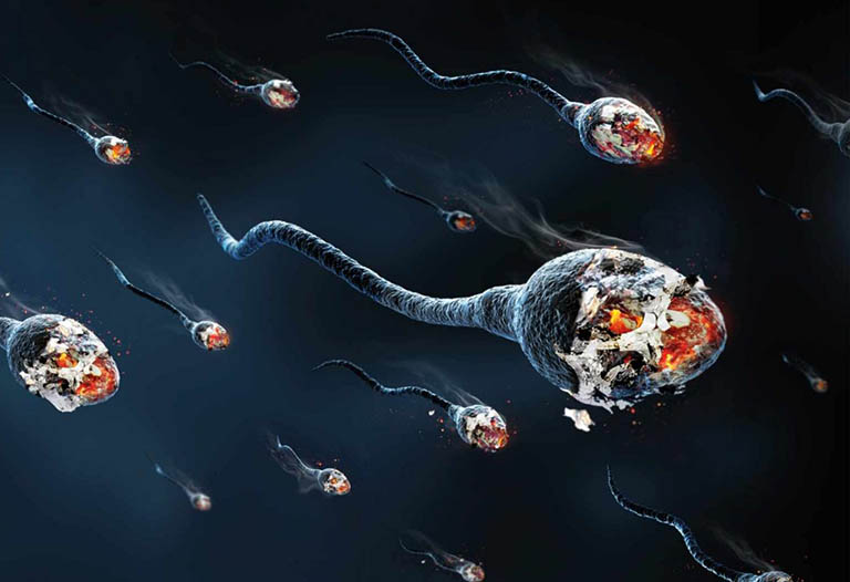 Tinh trùng dị dạng có thụ tinh, sinh con được? Cách cải thiện