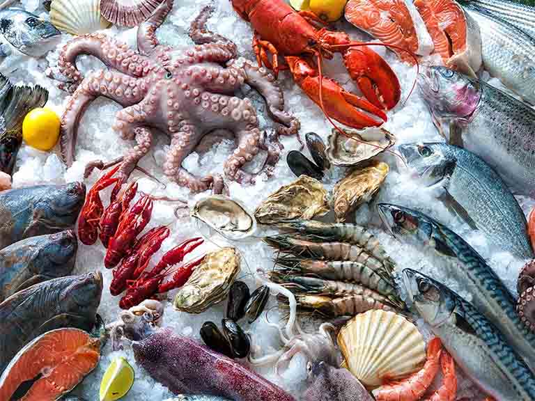 bệnh gút có ăn được hải sản không?
