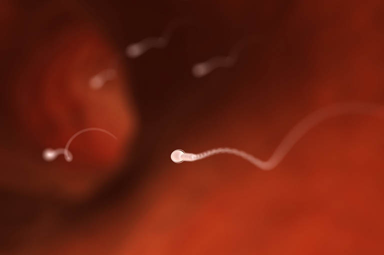 Thời gian sống của tinh trùng trong miệng vẫn chưa được nghiên cứu