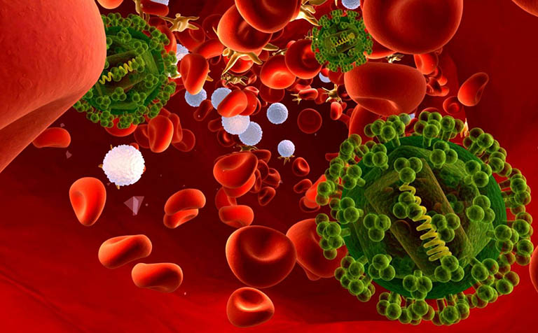 Virus bệnh viêm gan C thường lây truyền từ người sang người qua đường máu