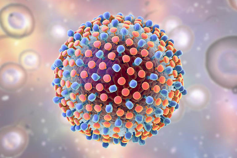 Virus viêm gan C tồn tại được bao lâu ngoài cơ thể?
