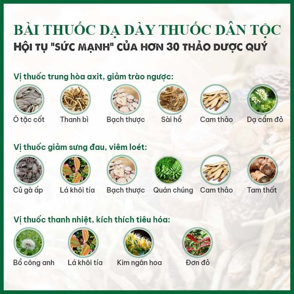 Các nhóm thảo dược trong bài thuốc