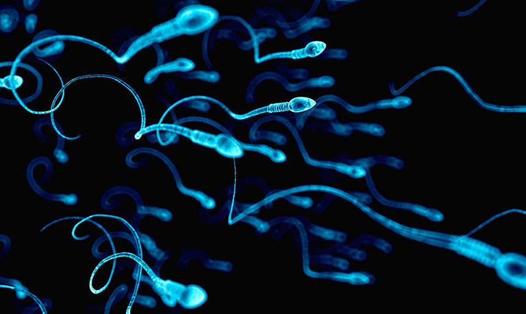 Xuất tinh sớm có ảnh hưởng đến chất lượng tinh trùng không?