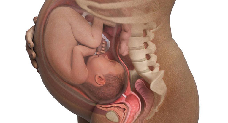 Viêm phần phụ mang thai có ảnh hưởng gì không?