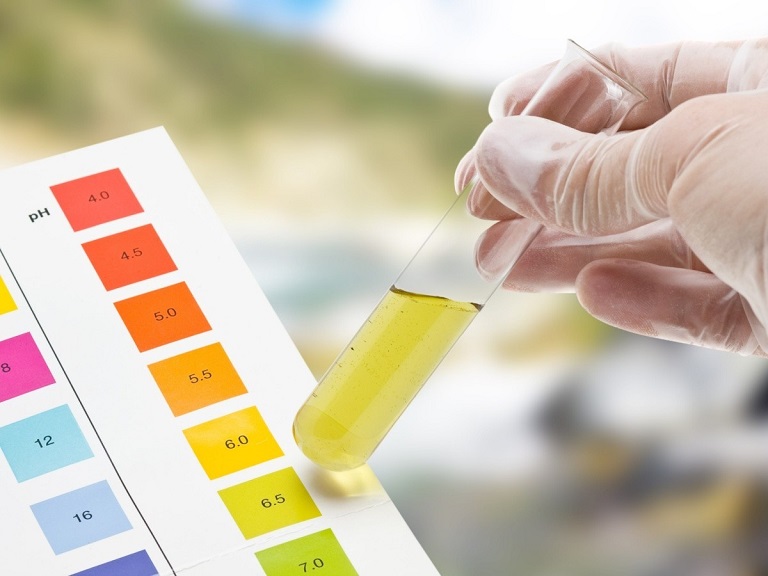 Tiến hành thí nghiệm với dung dịch đổi màu để xác định nước uống có độ pH bao nhiêu là tốt