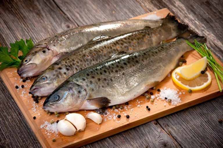 Cá là thực phẩm nên ưu tiên sử dụng khi bị gan nhiễm mỡ độ 2