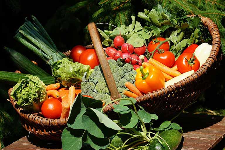 Người bị gan nhiễm mỡ nên ăn nhiều rau xanh và trái cây tươi hơn bình thường
