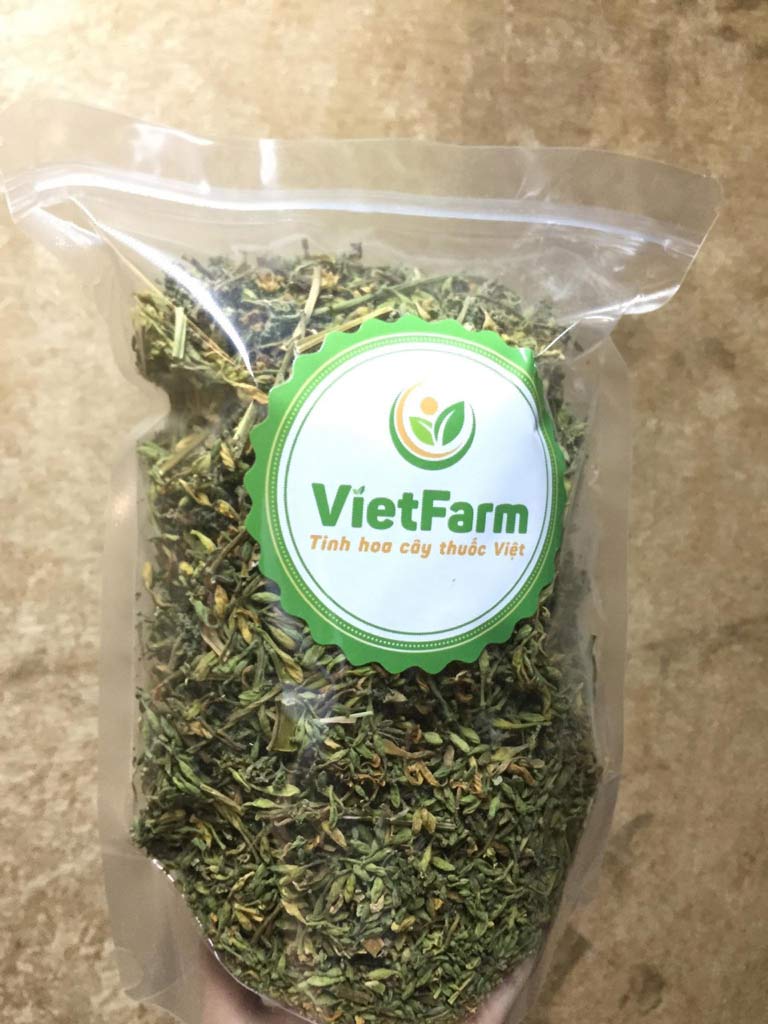 Hoa đu đủ đực Vietfarm đạt chuẩn GACP chất lượng cao