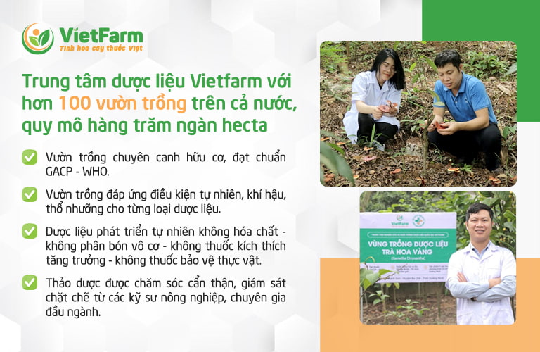 Trung tâm dược liệu Vietfarm là đơn vị uy tín cung cấp dược liệu sạch