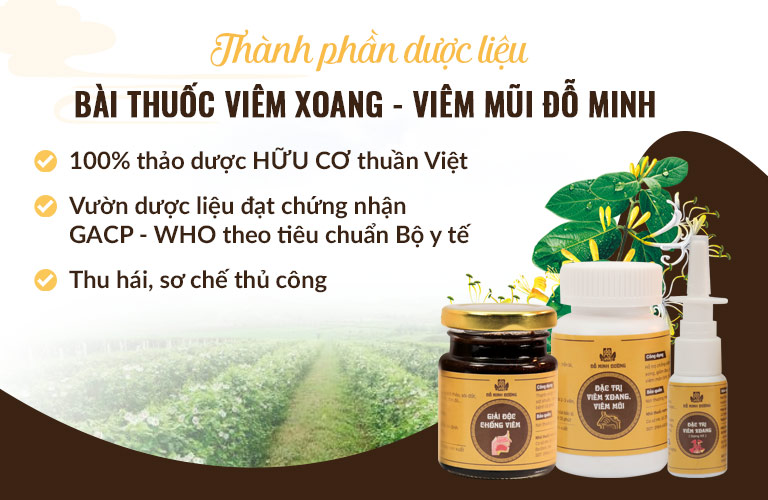 Nguồn thảo dược HỮU CƠ thuần Việt dùng điều chế bài thuốc viêm xoang, viêm mũi Đỗ Minh Đường