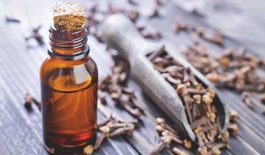 Cách dùng dầu đinh hương trị đau răng tại nhà