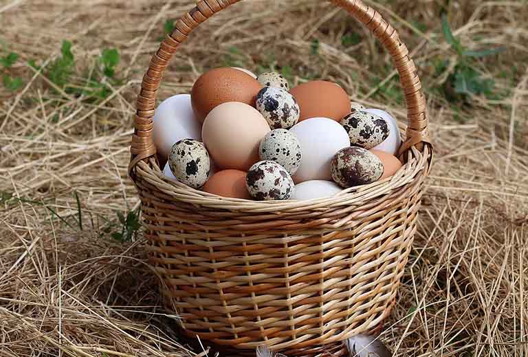 Giá trị dinh dưỡng của trứng đối với sức khỏe