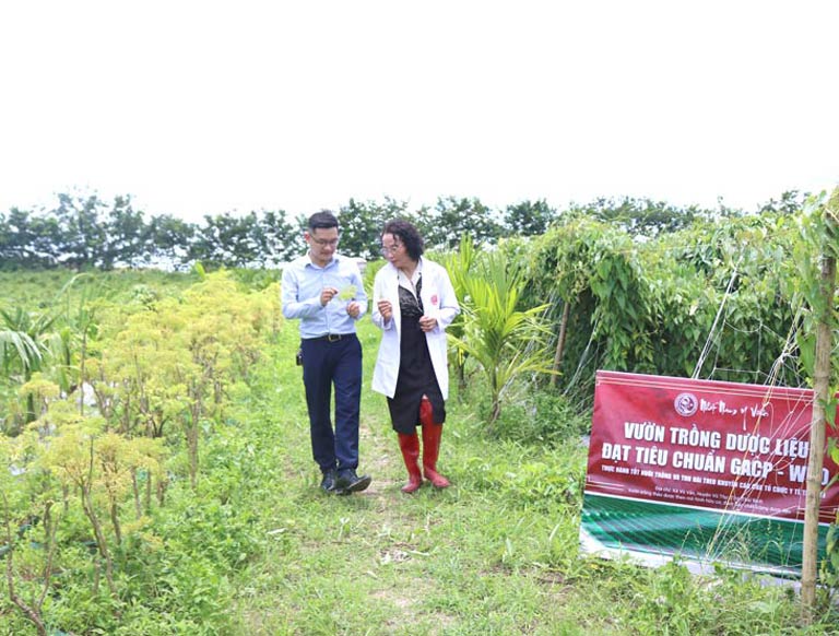 Trung tâm Da liễu Đông y Việt Nam tự chủ về nguồn dược liệu