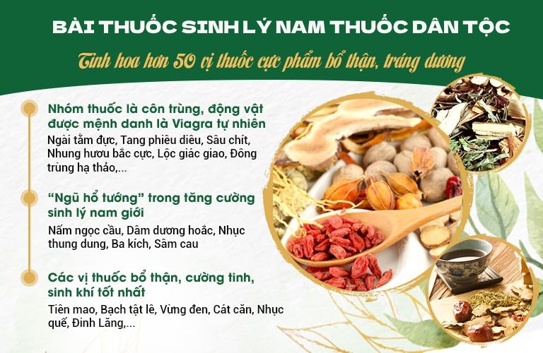 Thành phần bài thuốc sinh lý nam Thuốc Dân Tộc