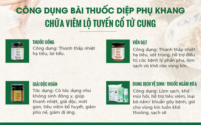 Thành phần, công dụng của bài thuốc Diệp Phụ Khang