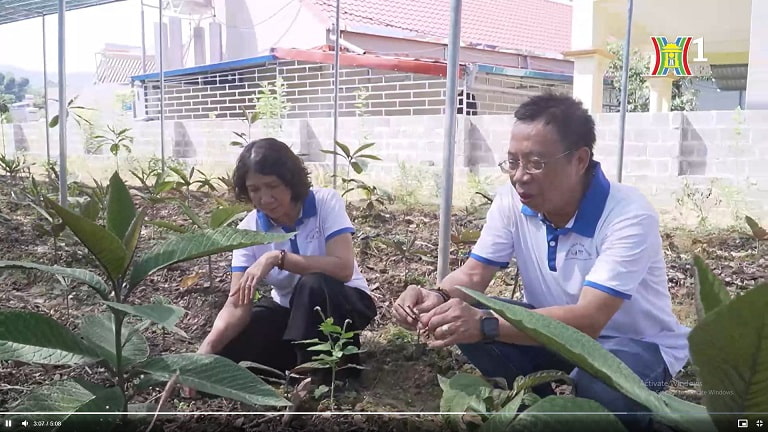 Bác sĩ Tuyết Lan có công rất lớn trong việc nhân giống, phát triển thảo dược quý