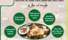 Y học cổ truyền hỗ trợ giấc ngủ toàn diện