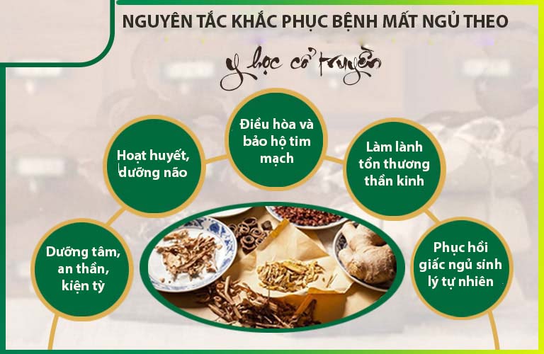 Y học cổ truyền hỗ trợ giấc ngủ toàn diện