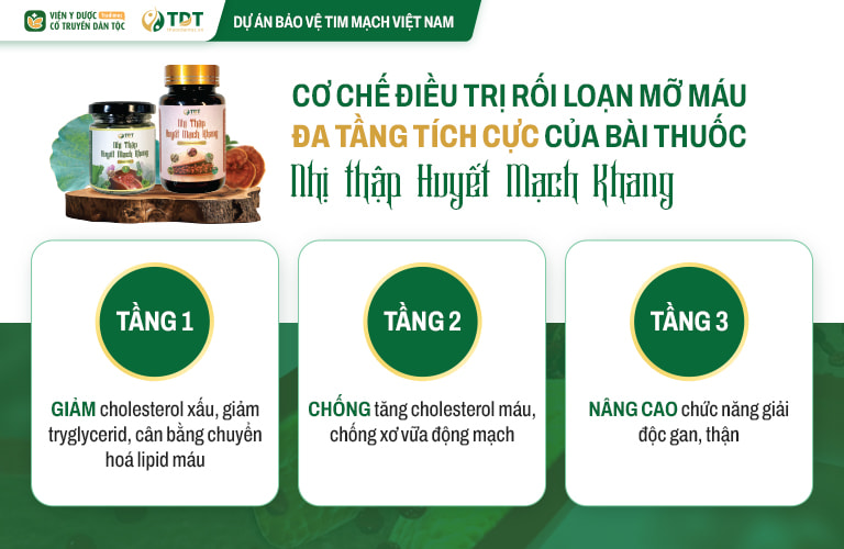 Nhị thập Huyết mạch khang cho hiệu quả tác động tích cực đa đích