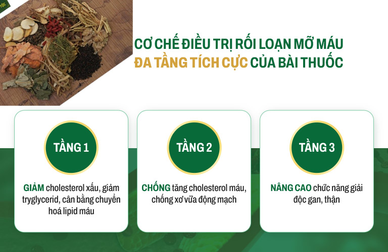 Cơ chế tác động đa tầng cho hiệu quả vượt trội