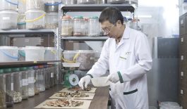 Bác sĩ trực tiếp kê đơn, bốc thuốc theo chứng trạng cho từng người, không sử dụng đại trà