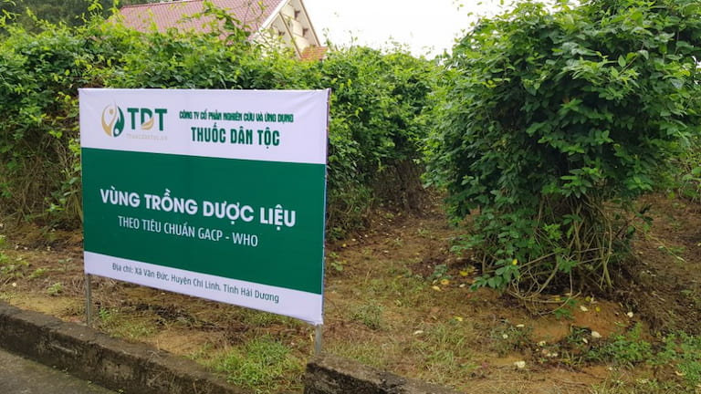 Vườn dược liệu chuyên canh tự chủ của Thuốc dân tộc