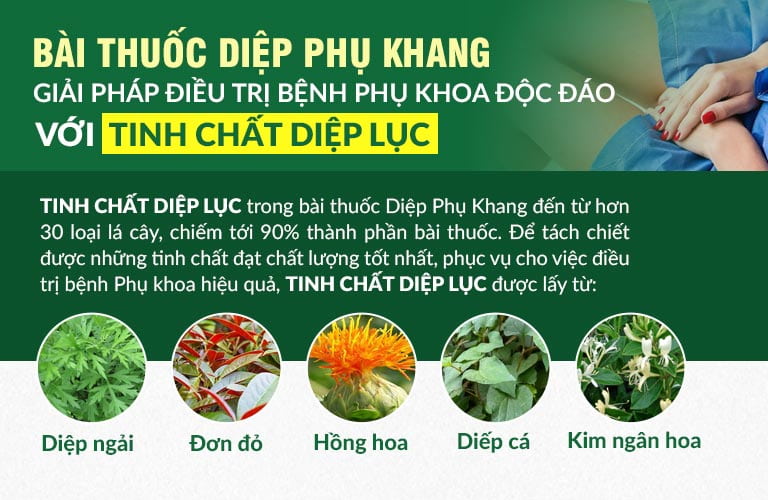 Tinh chất diệp lục trong Diệp Phụ Khang chiết tách từ nhiều loại lá thảo dược