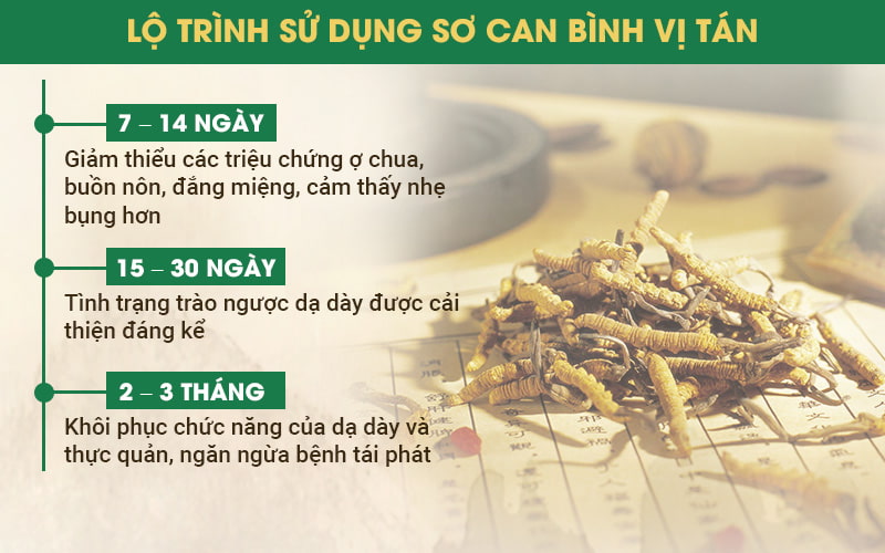 Lộ trình chữa trào ngược dạ dày bằng bài thảo dược Thuốc dân tộc