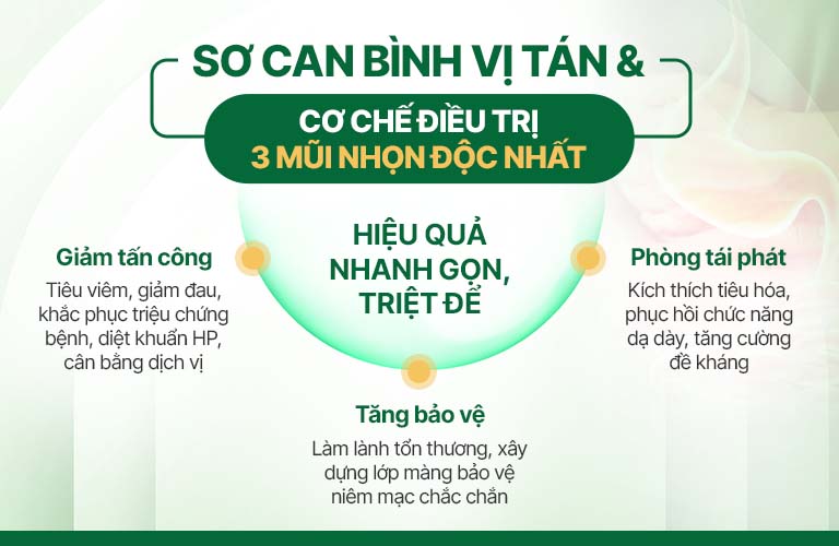 Cơ chế xử lý bệnh dạ dày của Sơ can Bình vị tán