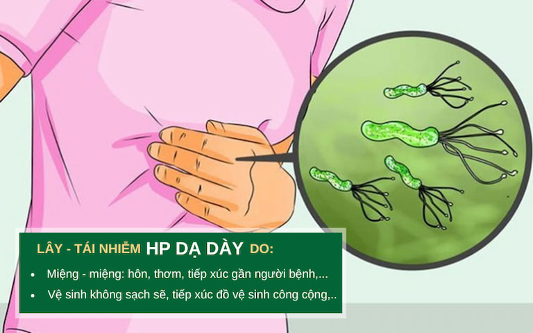 Nguyên nhân HP dạ dày tái nhiễm dai dẳng