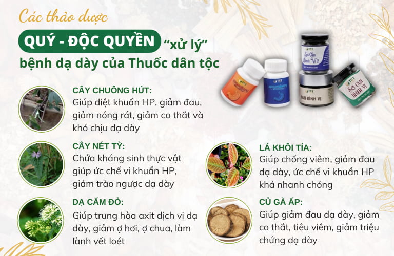 5 vị chủ dược có dược tính mạnh, an toàn và lành tính